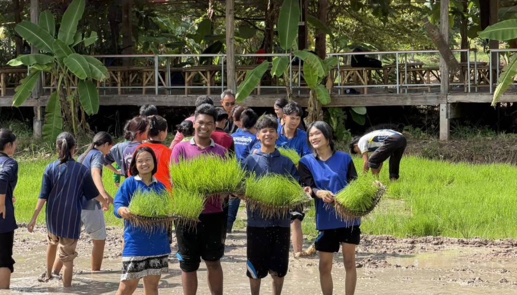 ทูบีดำนา ปักกล้าลงดิน สืบสานวิถีถิ่นไทย